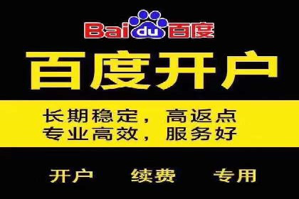 百度竞价排名实战：关键词优化与落地页优化案例